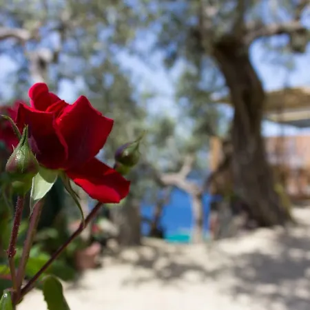 Villa Villino Capri Coast